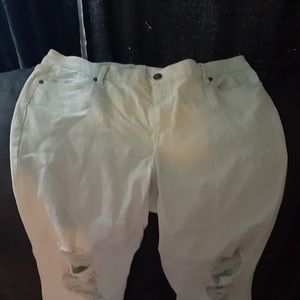 Plus Size Skinny jeans